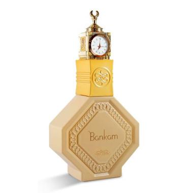 Nbl master bankam 100